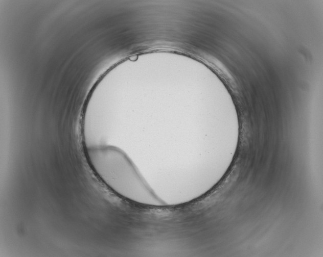 X0000111001190200907311025