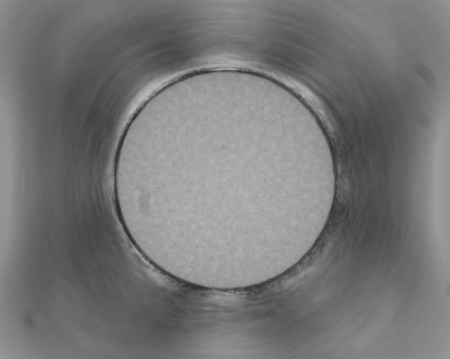 X0000111001191200907311024