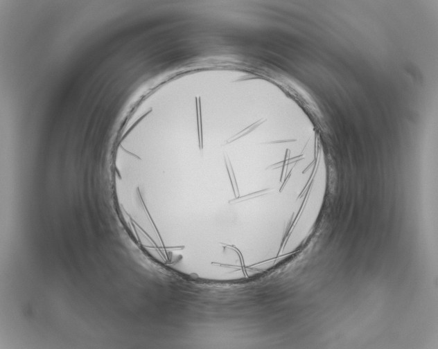 X0000111001192200907311024