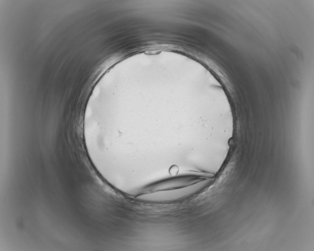 X0000111001193200907311024