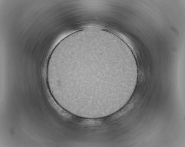 X0000111001195200907311024