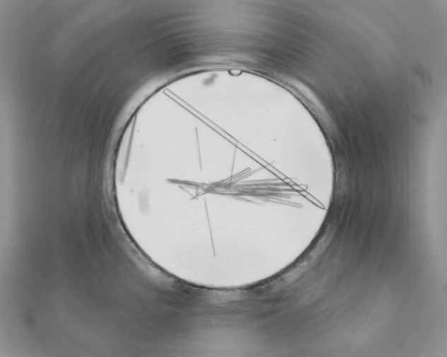 X0000111001196200907311024