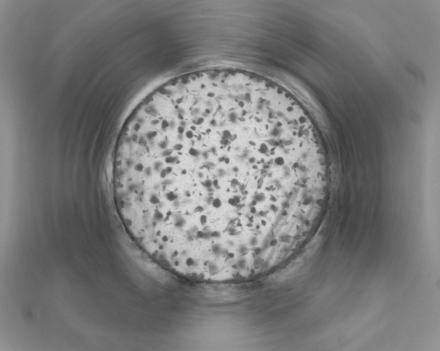 X0000111001198200907311024