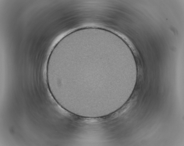 X0000111001199200907311024