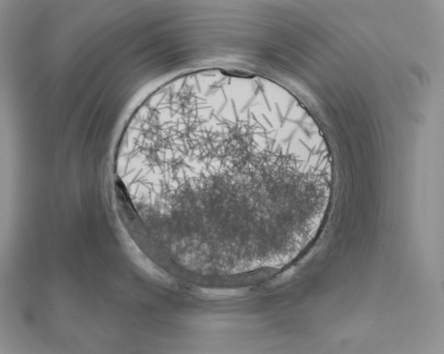 X0000111001200200907311024