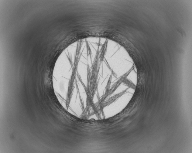 X0000111001202200907311024