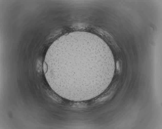 X0000111001203200907311024