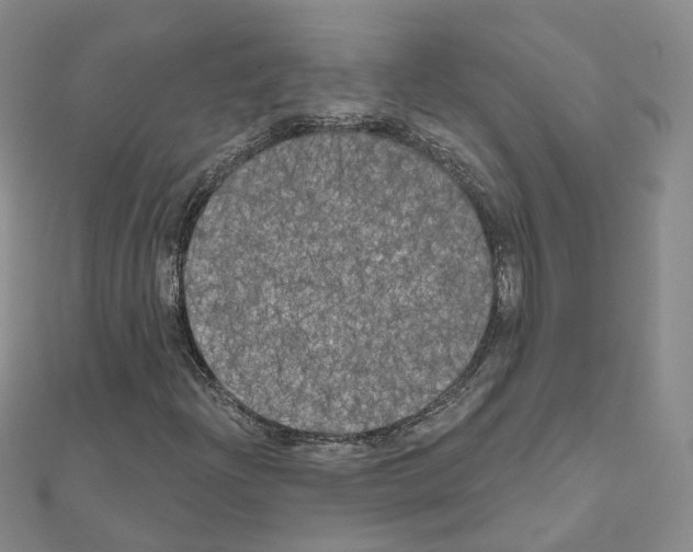 X0000111001204200907311024