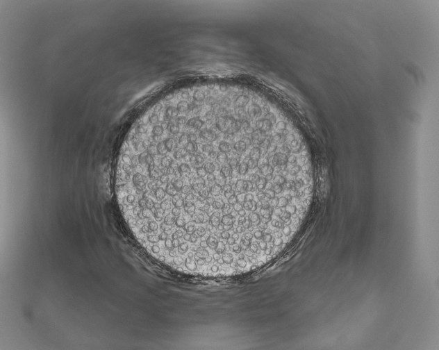 X0000111001205200907311024