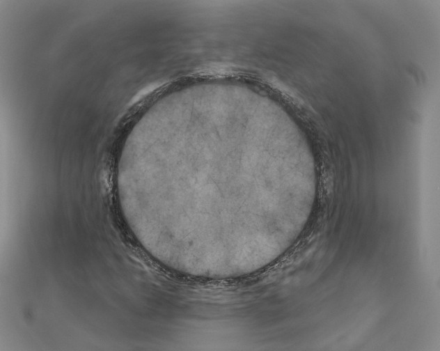 X0000111001206200907311024