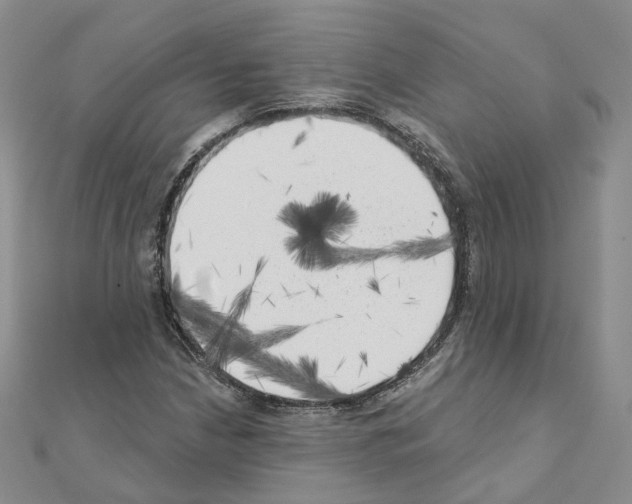 X0000111001210200907311024