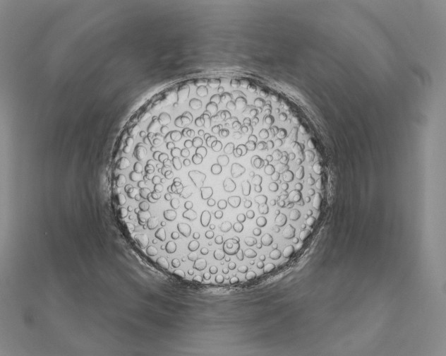 X0000111001212200907311024