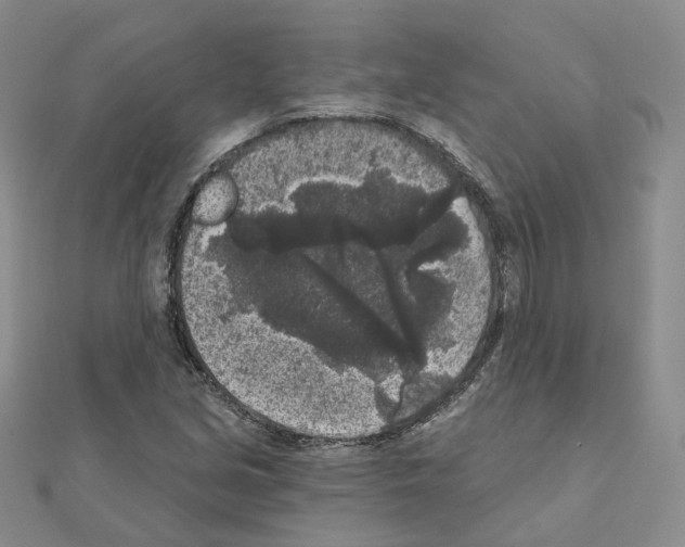 X0000111001213200907311024