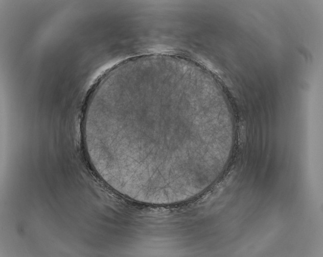 X0000111001214200907311024