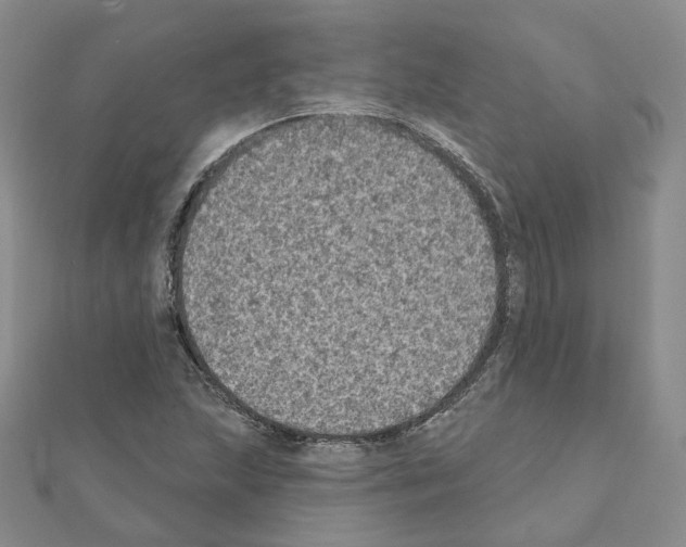 X0000111001215200907311024