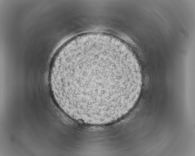 X0000111001216200907311024