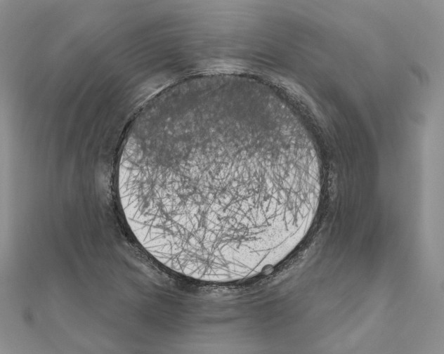 X0000111001217200907311024