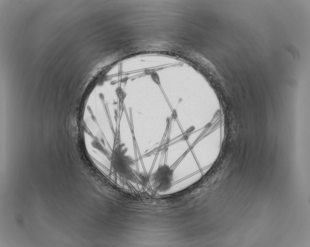 X0000111001218200907311024