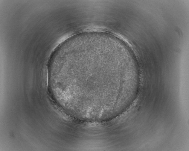 X0000111001219200907311024