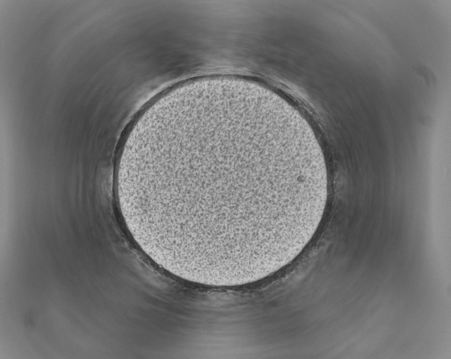 X0000111001220200907311024