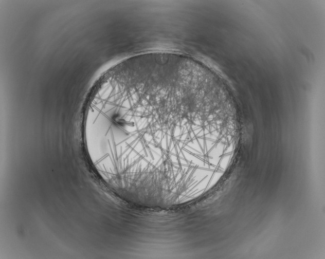 X0000111001222200907311024