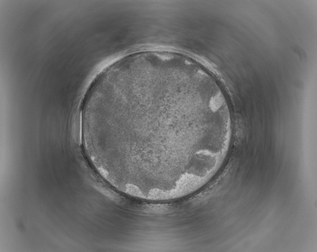 X0000111001223200907311024