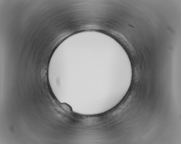 X0000111001225200907311024