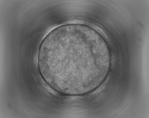 X0000111001228200907311024