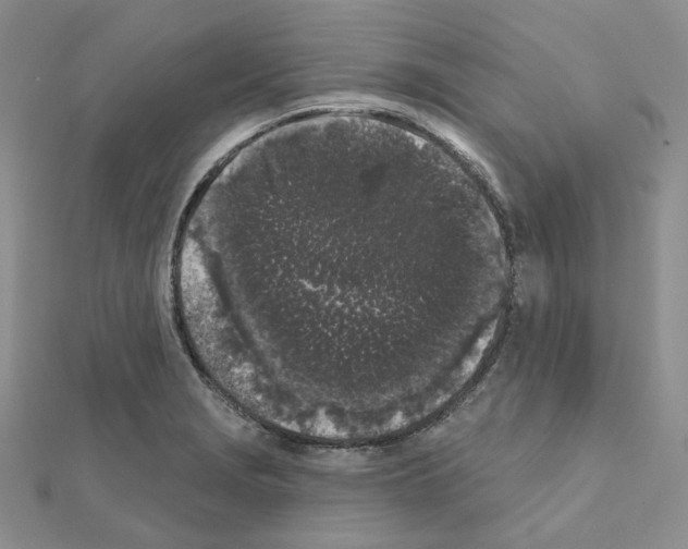 X0000111001229200907311024