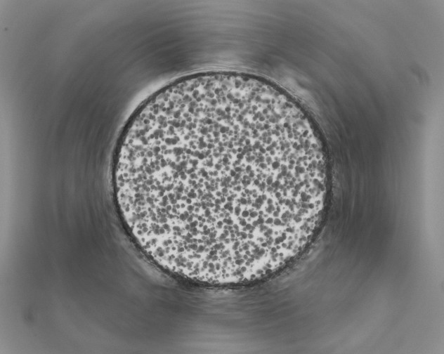 X0000111001230200907311024