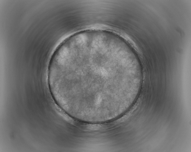 X0000111001232200907311024