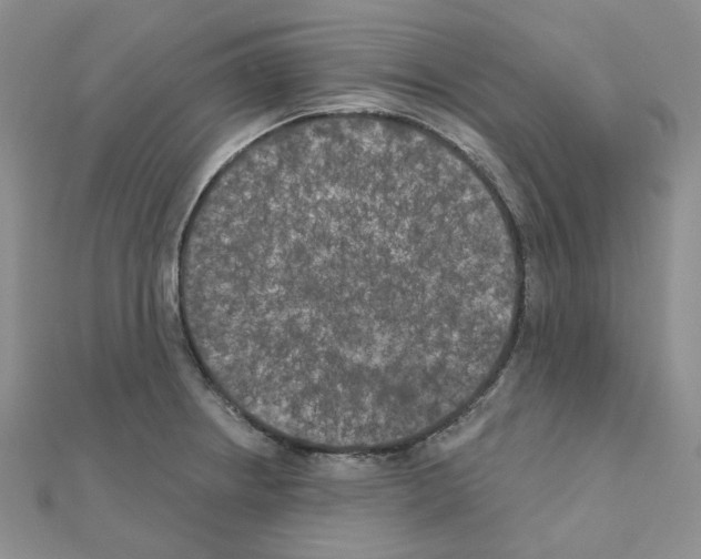 X0000111001234200907311024