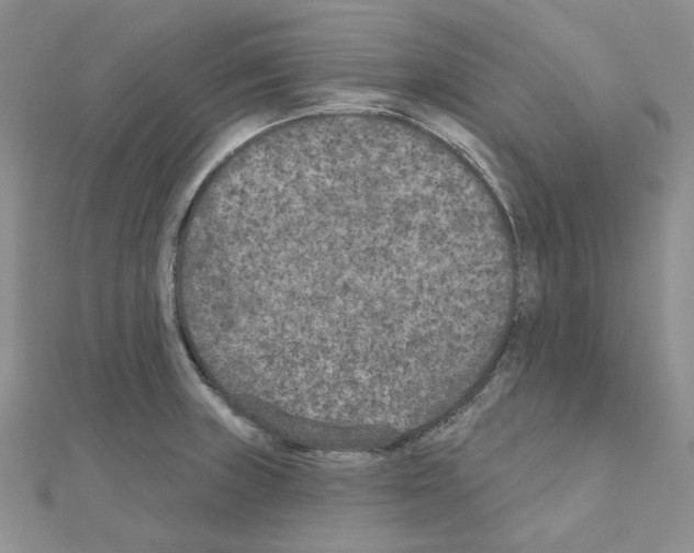 X0000111001235200907311024