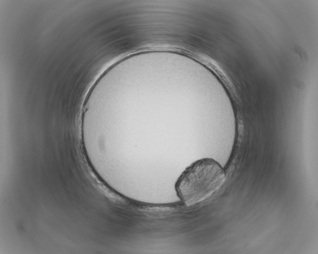 X0000111001236200907311024