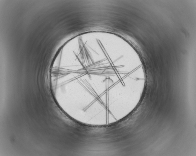 X0000111001238200907311024