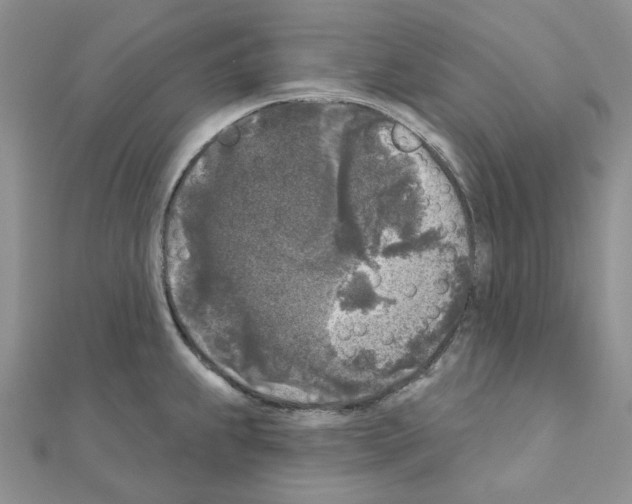 X0000111001239200907311024