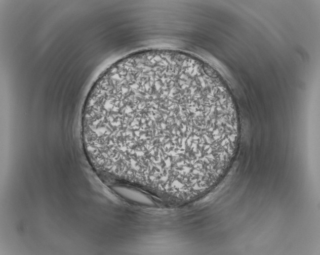 X0000111001240200907311024