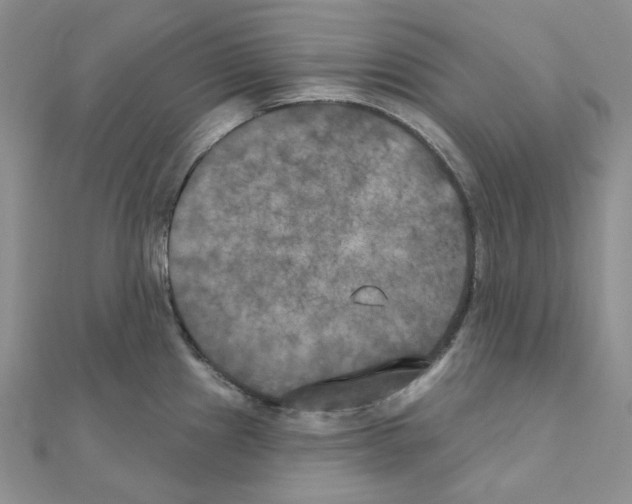 X0000111001241200907311024