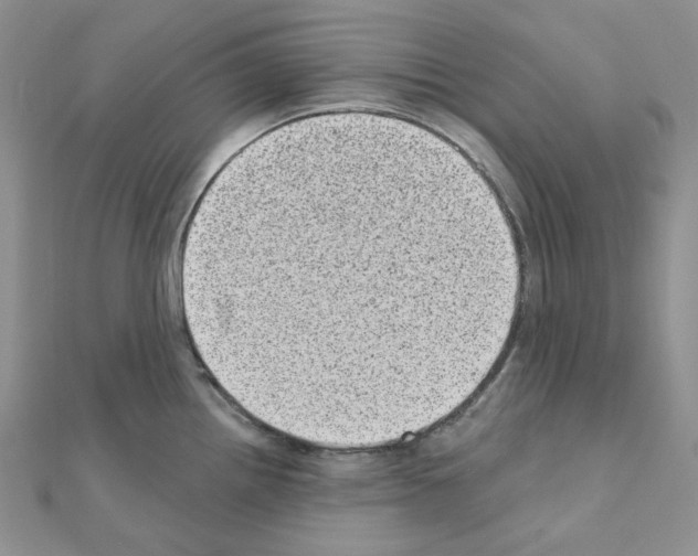 X0000111001242200907311024