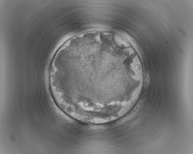 X0000111001243200907311024