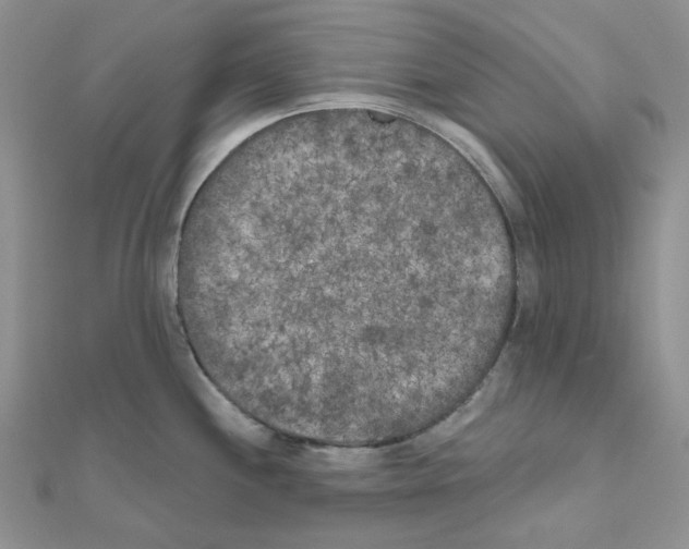 X0000111001244200907311024