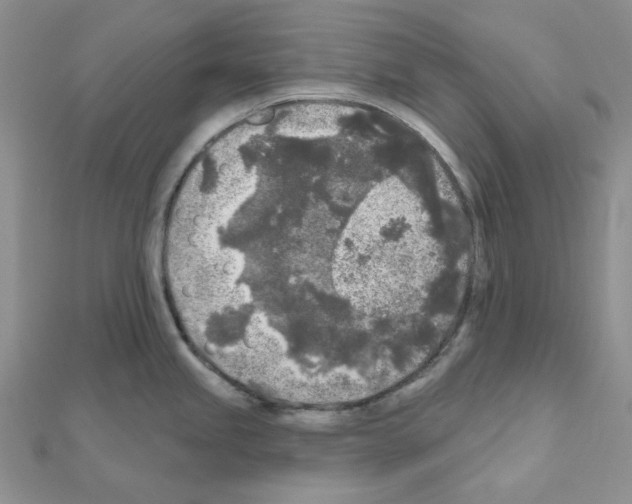 X0000111001245200907311024