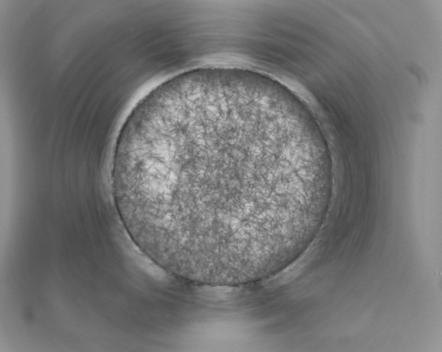 X0000111001248200907311024