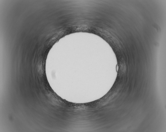 X0000111001250200907311024