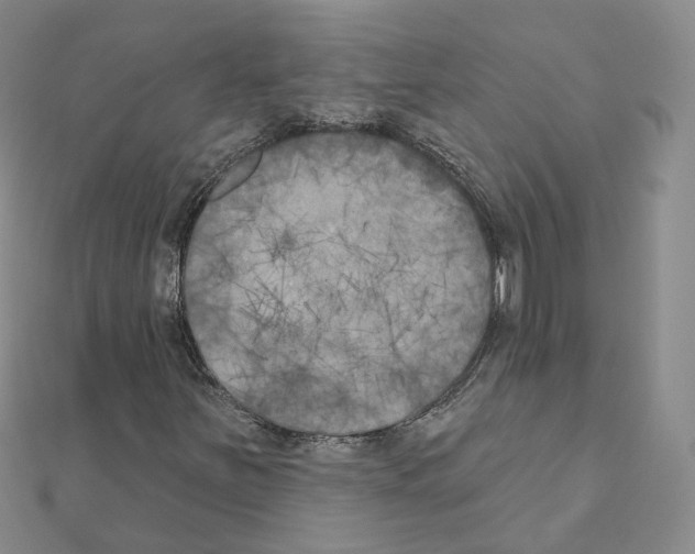 X0000111001251200907311024