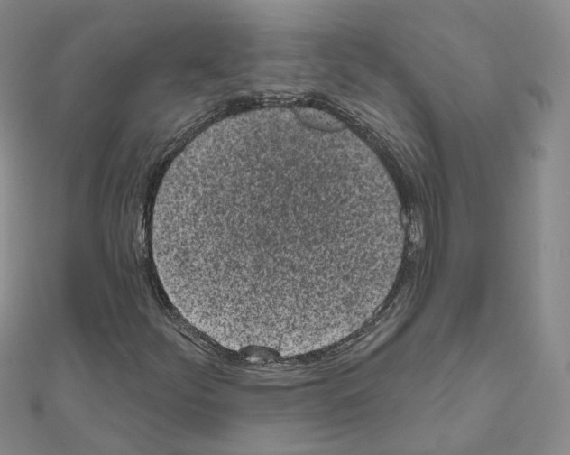 X0000111001252200907311024