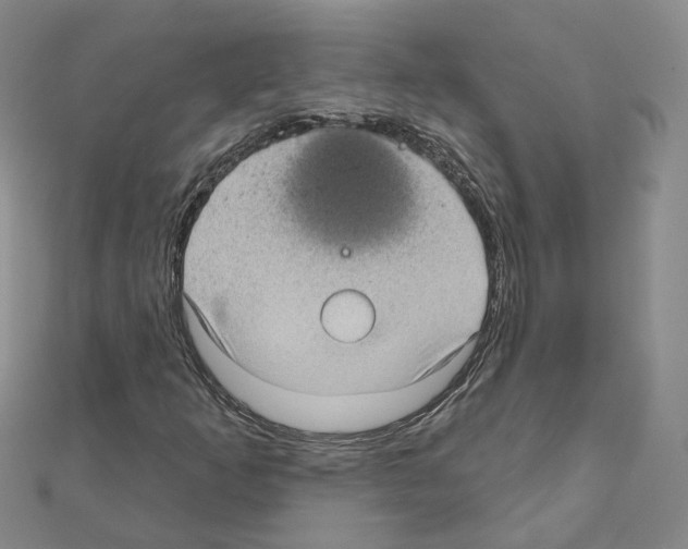 X0000111001253200907311024