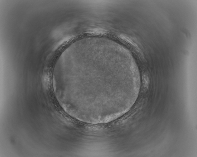 X0000111001254200907311024