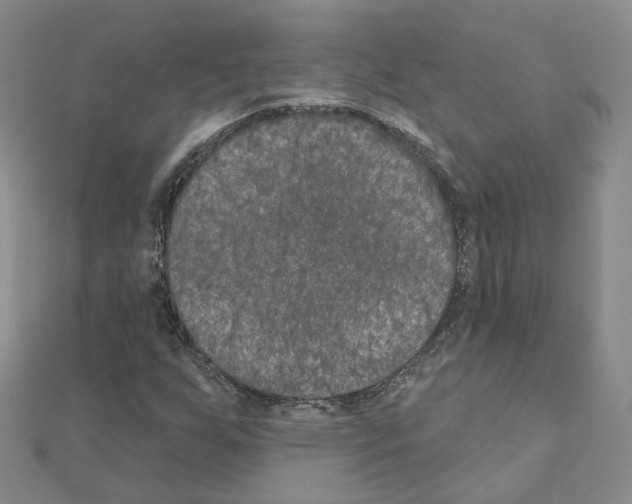 X0000111001255200907311024