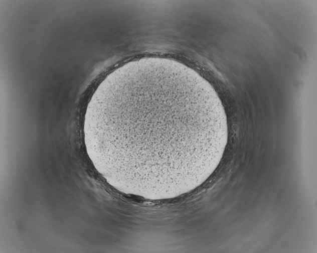 X0000111001256200907311024